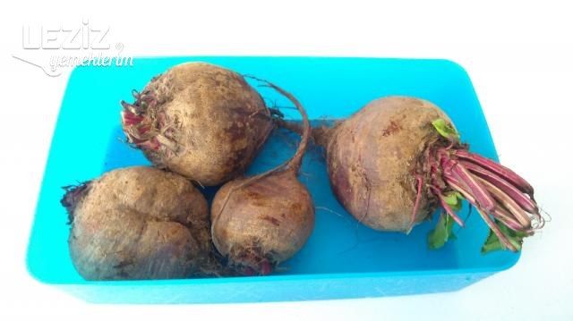 Yoğurtlu Kırmızı Pancar Salatası