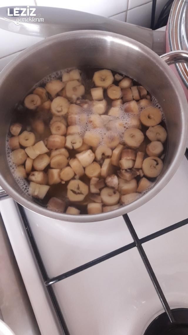 Mantar Ekşileme