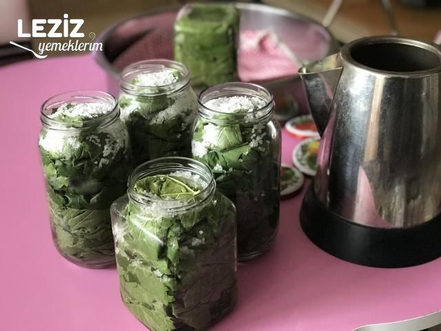 Kavanozda Salamura Yaprak
