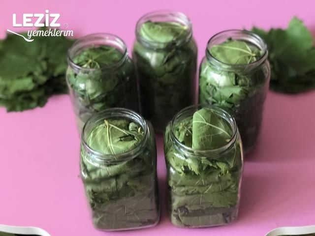 Kavanozda Salamura Yaprak
