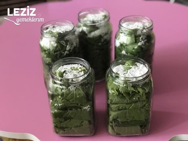 Kavanozda Salamura Yaprak