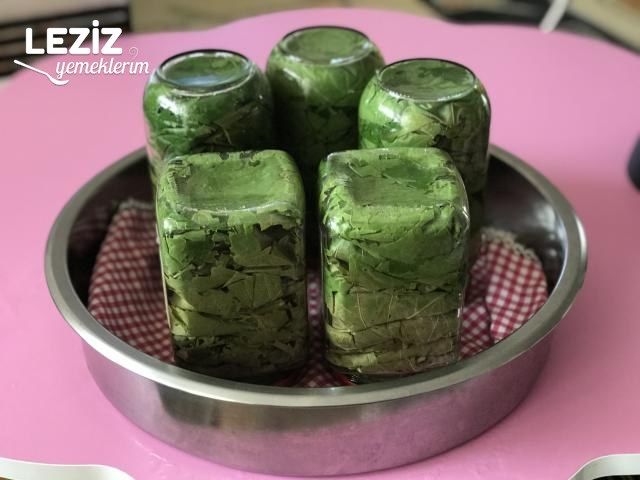Kavanozda Salamura Yaprak