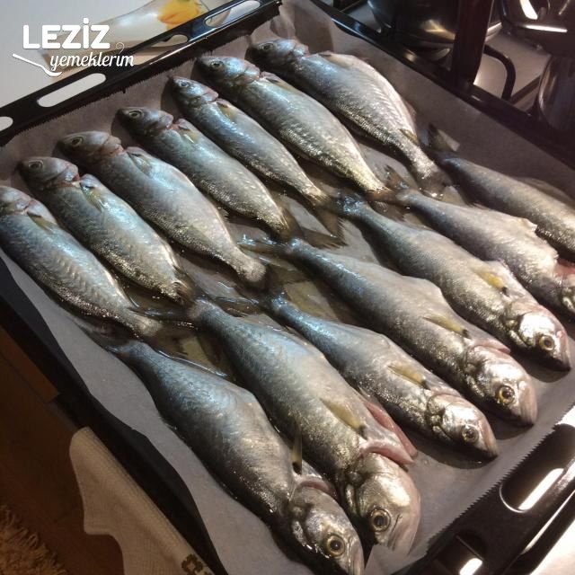 Fırında Çinekop