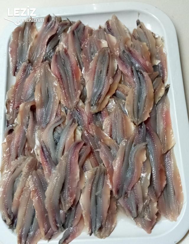 Hamsi Kuşu Tarifi (Çok Kolay)