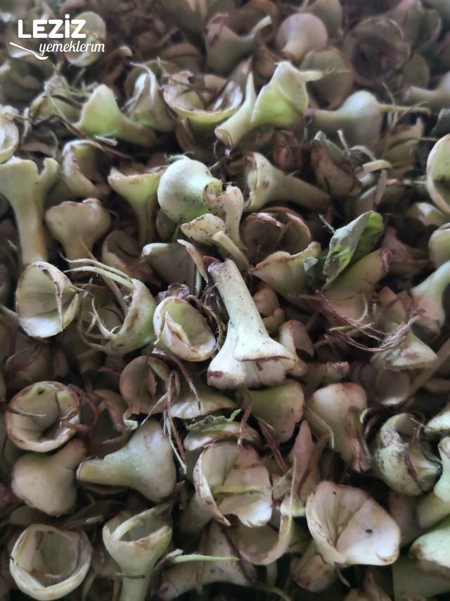 Bamya Saklamak
