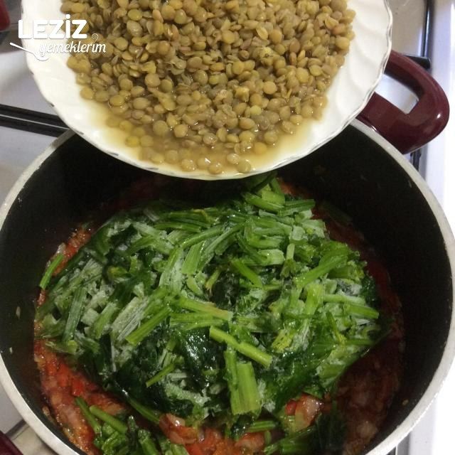 Ispanaklı Mercimek
