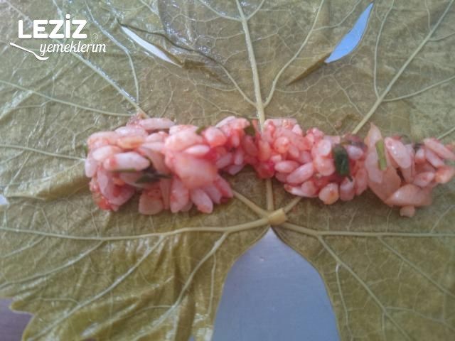 Zeytinyağlı Yaprak Sarma (Bulgurlu Ve Pirinçli)
