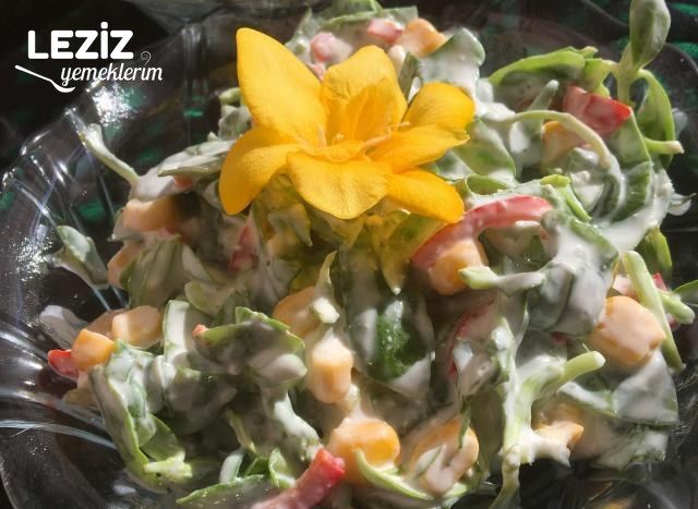 Bol Malzemeli Semizotu Salatası