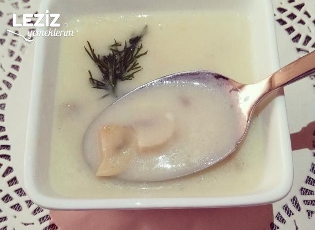 Ev Yapımı Kremalı Mantar Çorbası