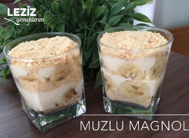Muzlu Magnolia Yapımı