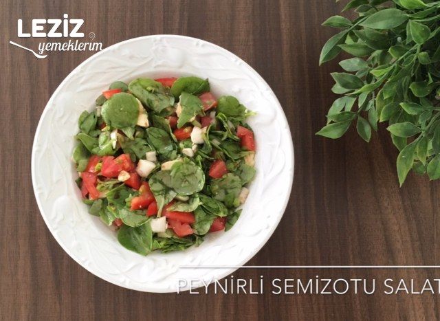 Peynirli Semizotu Salatası Tarifi