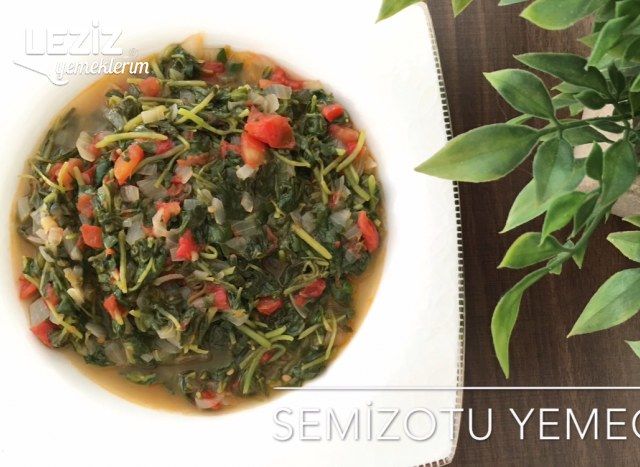 Semizotu Yemeği