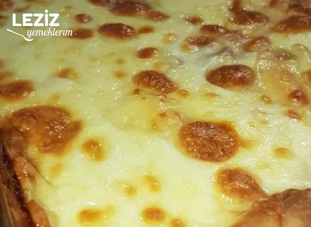 Beşamel Soslu Mantarlı Tavuk