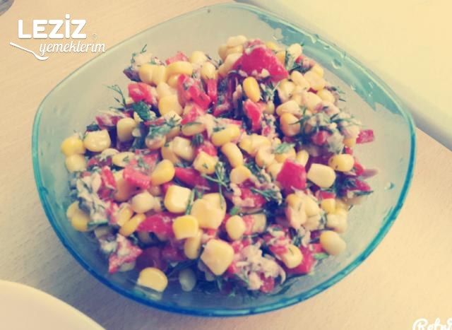 Ton Balıklı Nefis Salatam