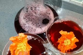 Hibiskus Şerbeti