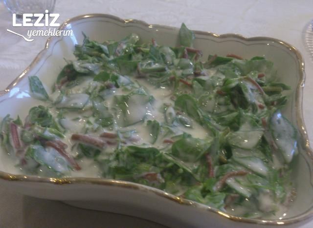 Yoğurtlu Semizotu Salatası