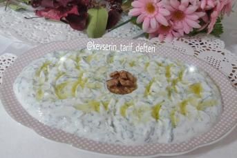 Nefis Haydari
