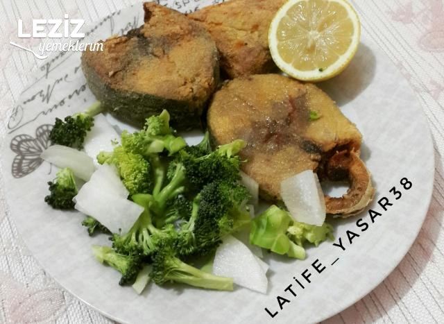 Mısır Unlu Palamut Kızartması