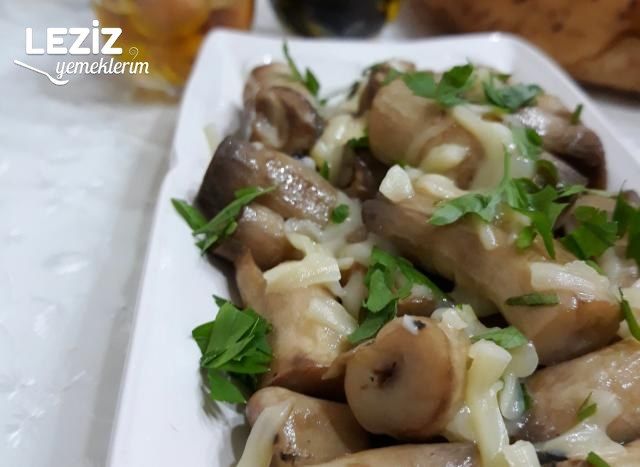 Kahvaltılık Mantar Sapı