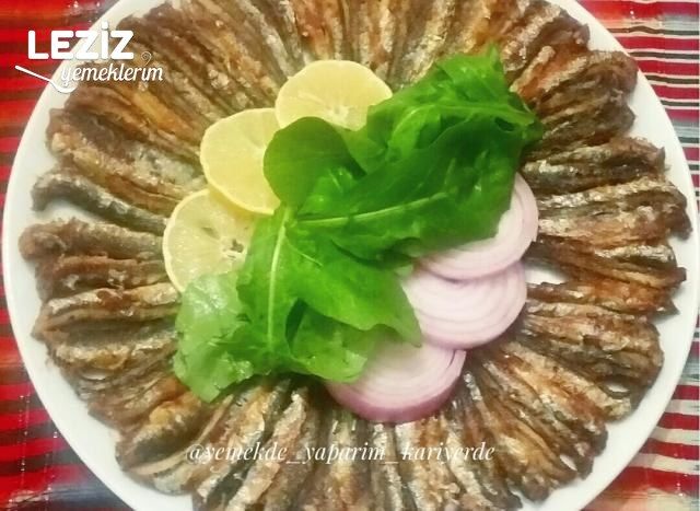 Tavada Hamsi Balığı