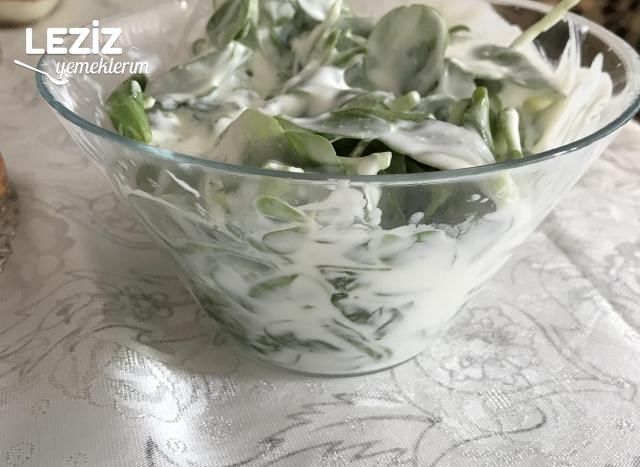 Kolay Semizotu Salatası