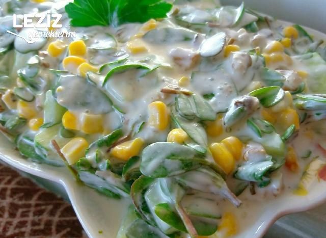 Yoğurtlu Semiz Otu Salatası Tarifi