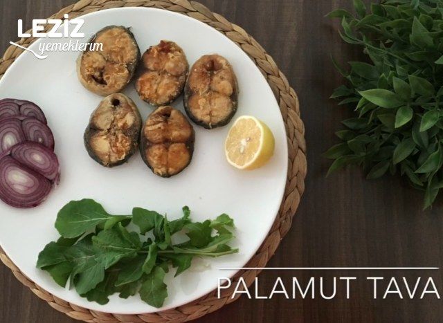 Palamut Tava