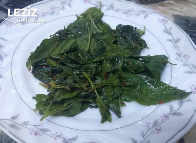 Nane Ekşileme