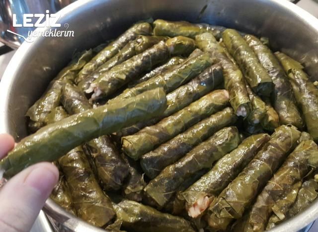 Zeytinyağlı Yaprak Sarma (Tüm Aşamaları İle)