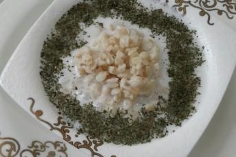 Ayran Aşı