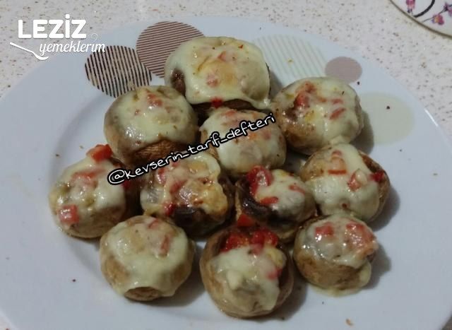 Harika Mantar Dolması