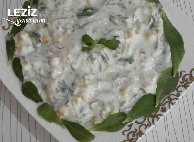 Yoğurtlu Semizotu Salatası (Aşama Aşama Anlatım)