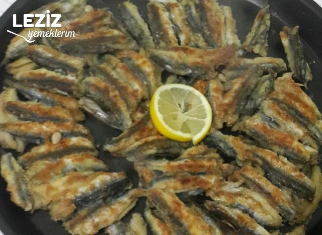 Nefis Hamsi Tava