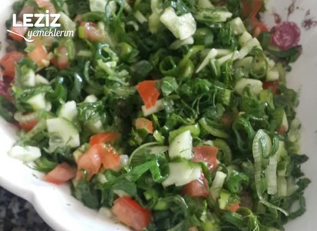 Kaşık Salatası