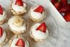 Nefis Mini Tartolet