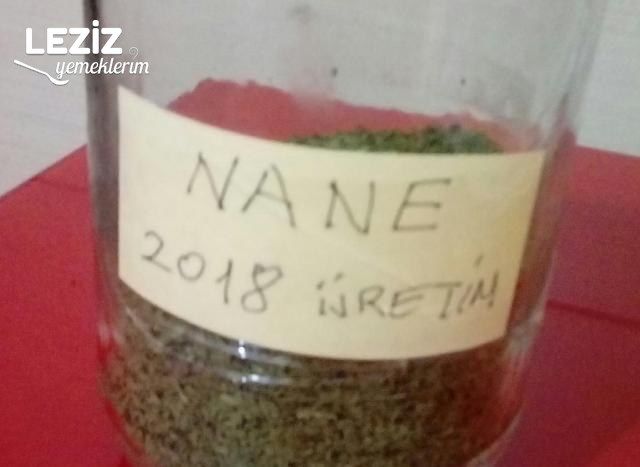 Evde Çok Kolay Nane Kurutma, Evde Nane Nasıl Kurutulur