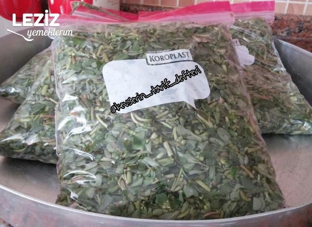 Dondurucuya Semizotu Konulması