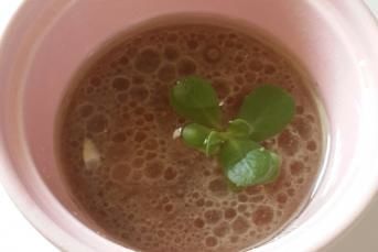 Leziz Salata Sosu