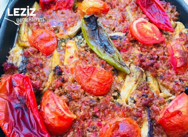 Nefis Patlıcan Oturtma