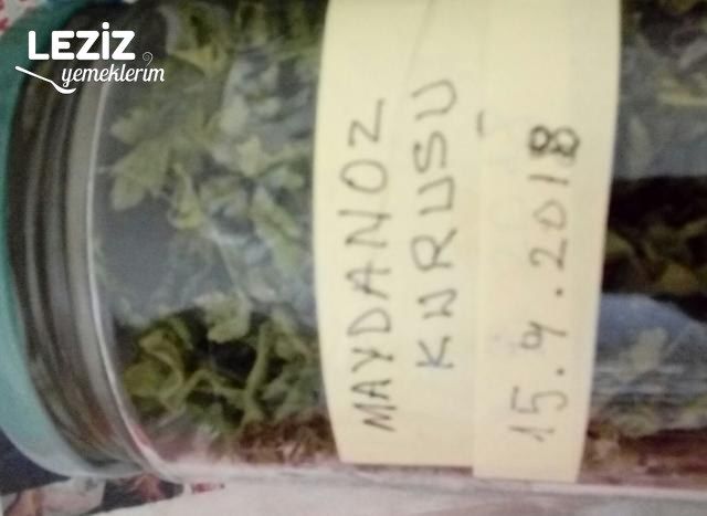 En Son Maydanoz Saklama Usulü