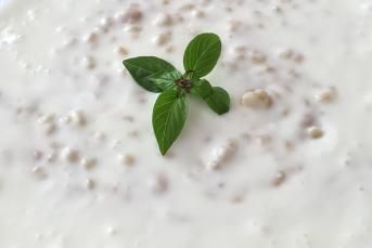 Lebeni