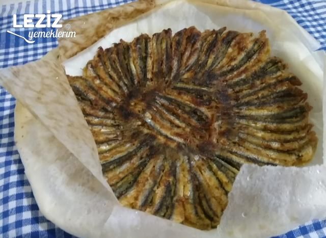 Kokusuz Yağ Sıçratmadan Yağlı Kağıtta Hamsi Tava Tarifi