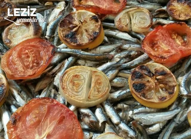 Izgara Tadında Fırında Hamsi