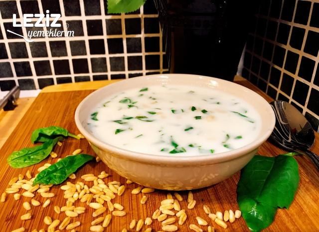 Yoğurtlu Ve Ispanaklı Soğuk Döğme Çorbası