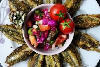 Nefis Hamsi Kuşu