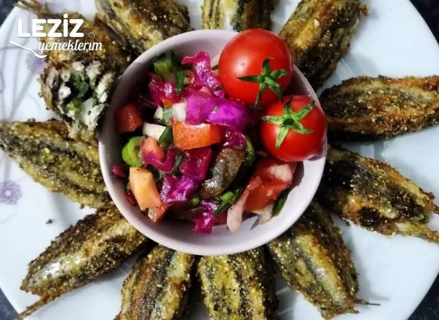 Nefis Hamsi Kuşu