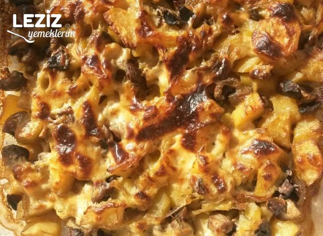Beşamel Soslu Mantarlı Patates