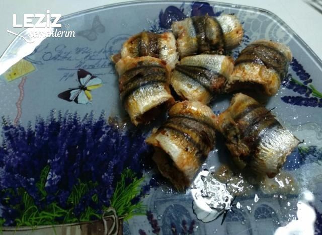 Hamsi Dolma