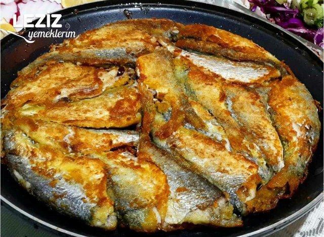 Nefis Çinekop Tava
