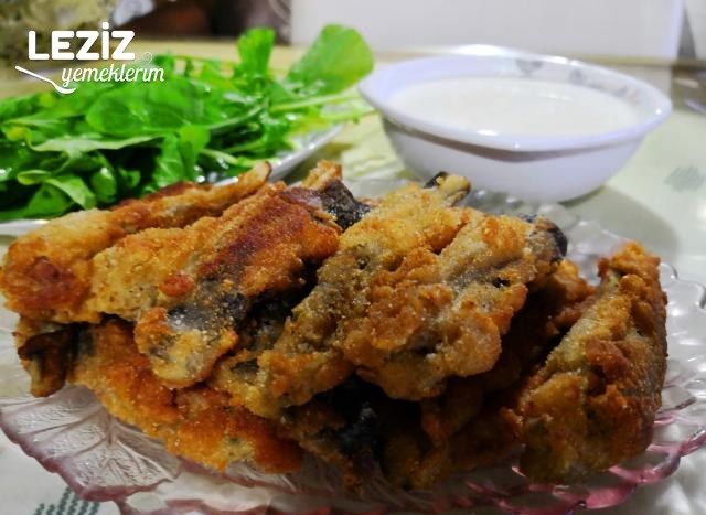 Patlıcan Balığı (Sanki Balık)